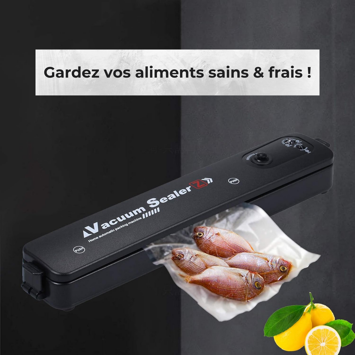 Emballeur Sous Vide pour Aliments Secs et Humides