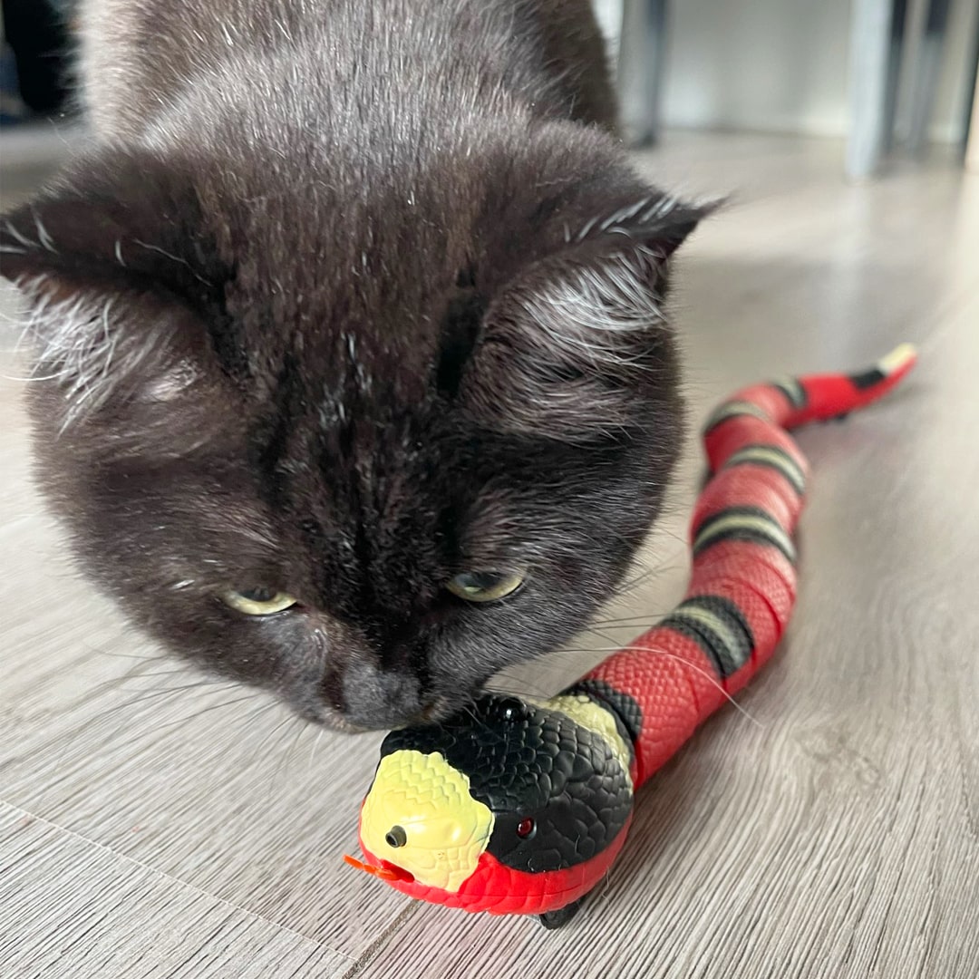 Serpent Remuant pour Chat